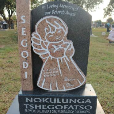 SEGODI Nokulunga Tshegofatso 2015-2015