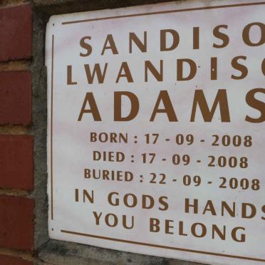 ADAMS Sandiso Lwandiso 2008-2008