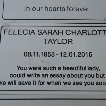 T - Vanne :: Surnames - T