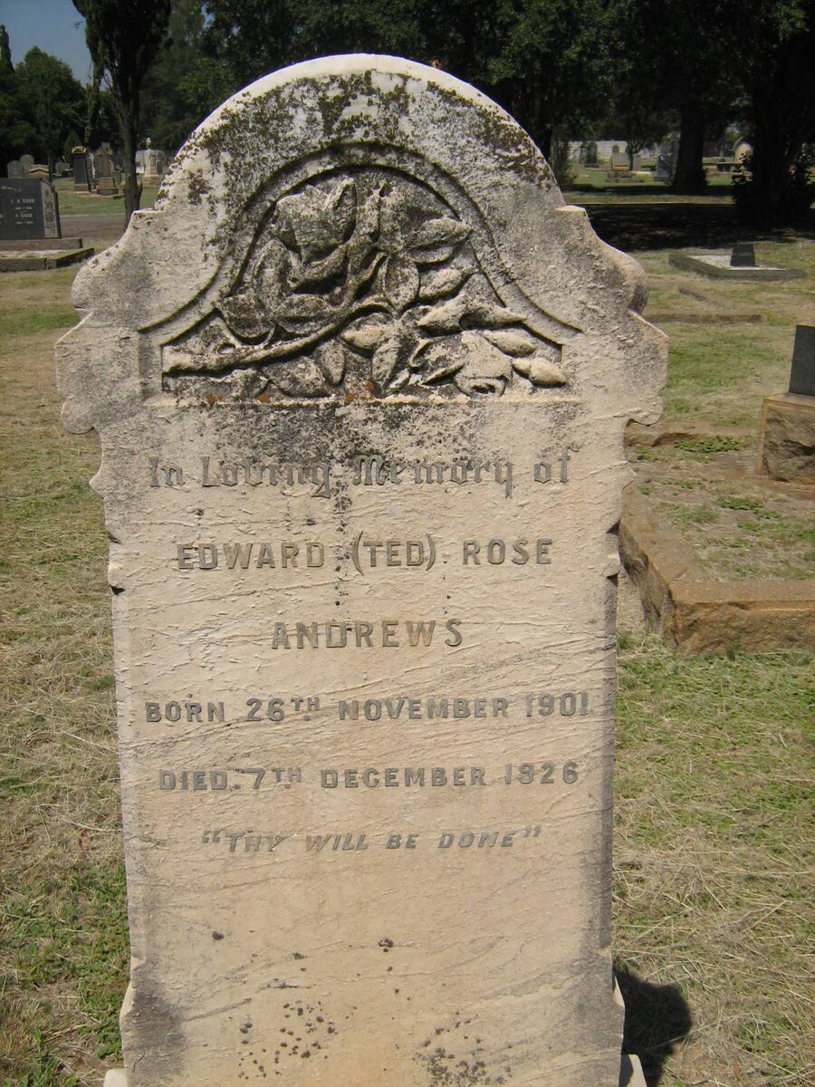 ANDREWS Edward Rose 1901-1926