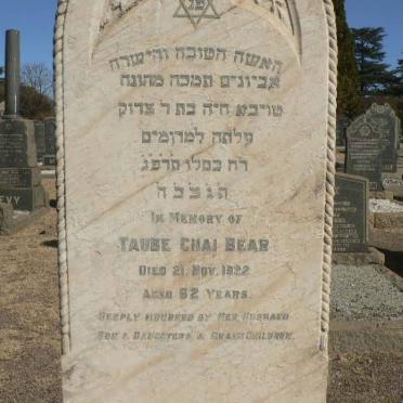 BEAR Taube Chai -1922