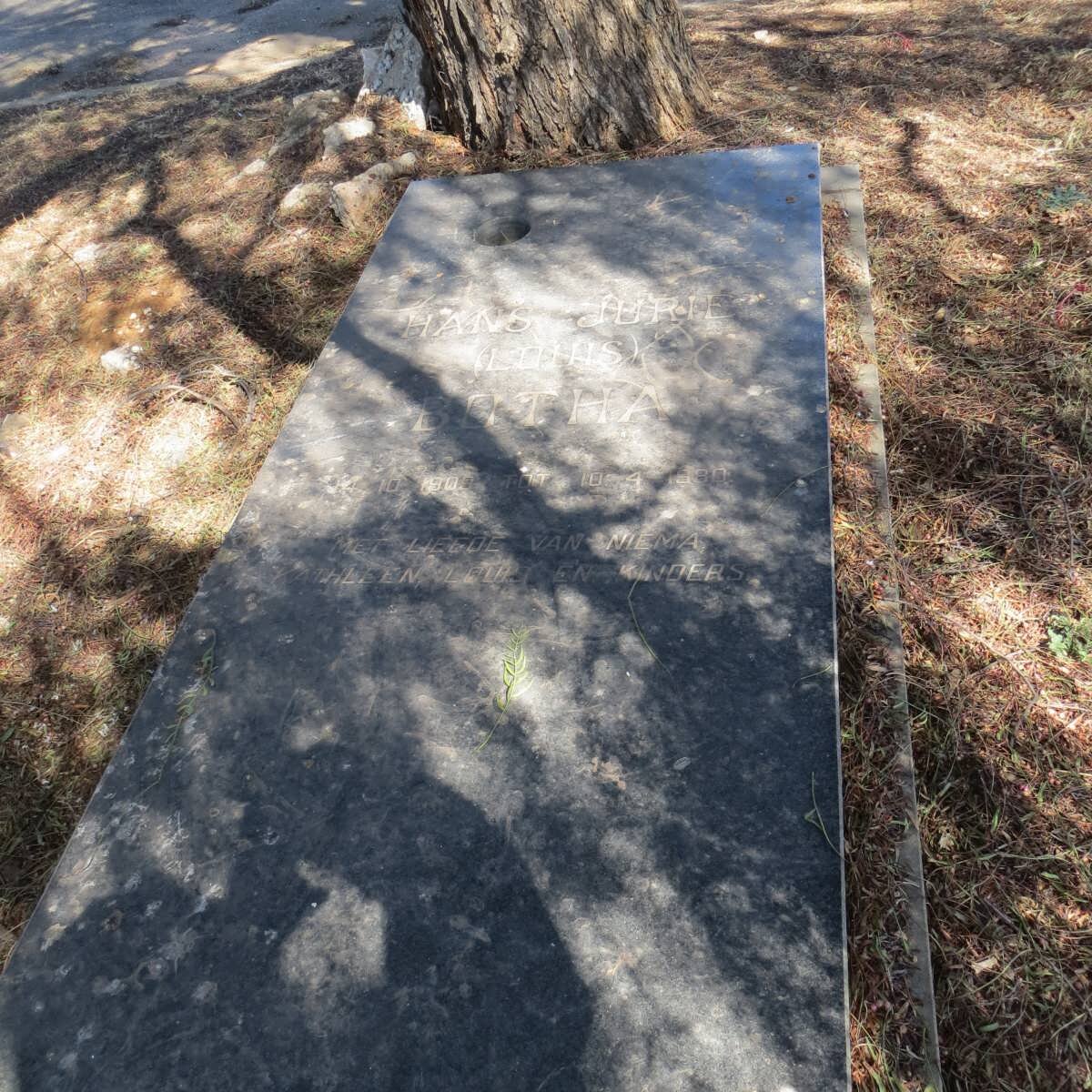 BOTHA Hans Jurie1909-1980