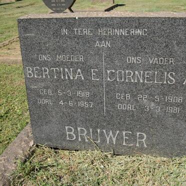 BRUWER Cornelis A. 1908-1981 &amp; Bertina E. 1918-1957