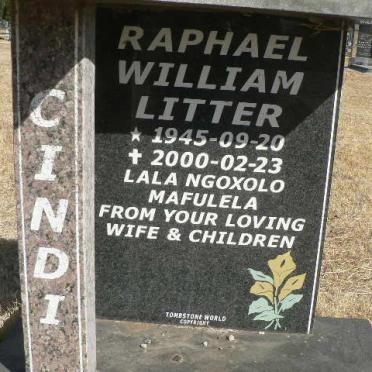 CINDI Raphael William Litter 1945-2000