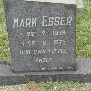 ESSER Mark 1979-1979