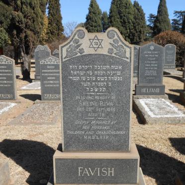 FAVISH Sheine Riva -1946