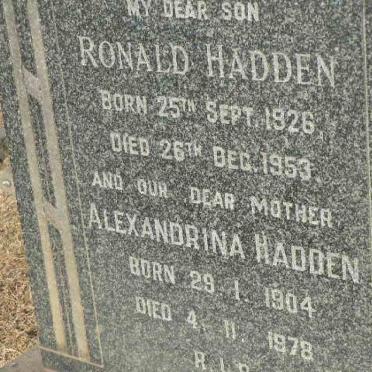 HADDEN Alexandrina 1904-1978 &amp; :: Ronald 1926-1953 