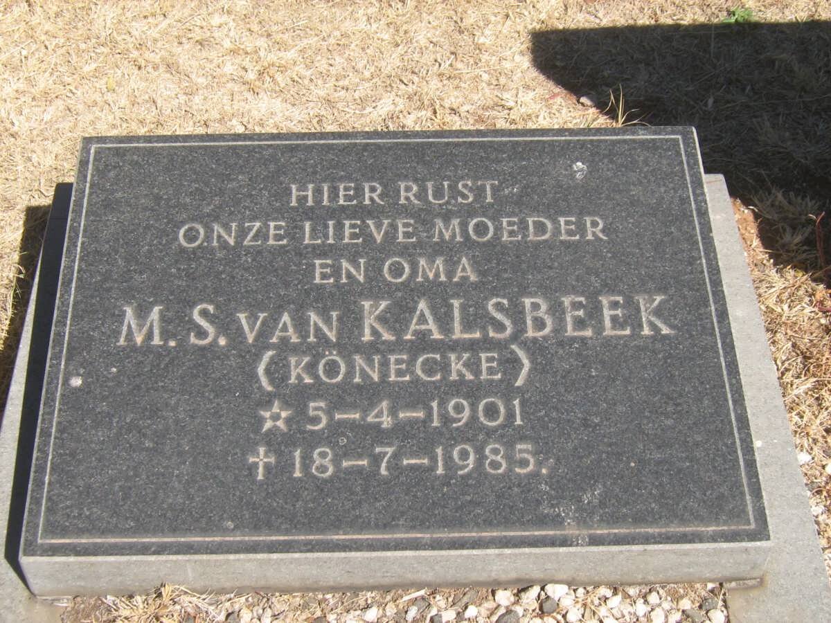 KALSBEEK M.S., van nee KÖNECKE 1901-1985