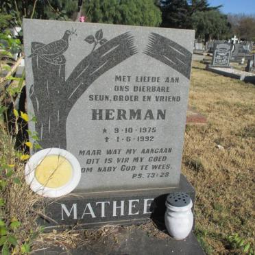 MATHEE Herman 1975-1992