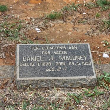 MALONEY Daniel J. 1878-1958