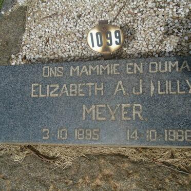 MEYER Elizabeth A.J. 1895-1966