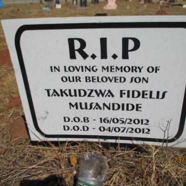 MUSANDIDE Takudzwa Fidelis 2012-2012