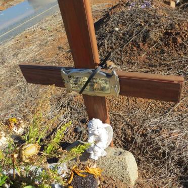 NAIDOO Marshall Timothy -2013