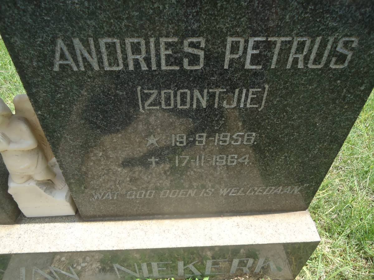 NIEKERK Andries Petrus, van 1956-1964