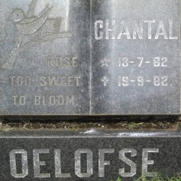 OELOFSE Chantal 1982-1982