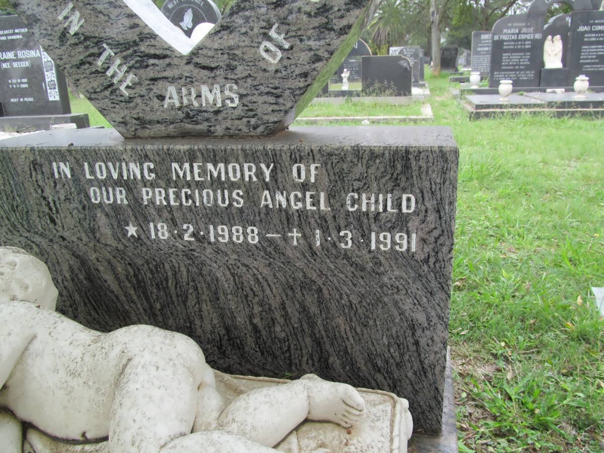 PERREIRA Claudio 1981-1991