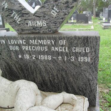 PERREIRA Claudio 1981-1991