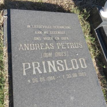 PRINSLOO Andreas Petrus 1914-1989