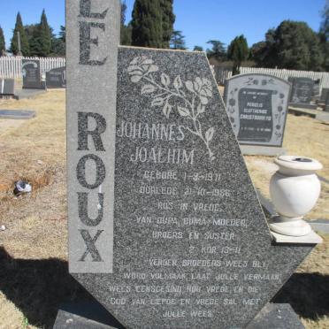 ROUX Johannes Joachim, le 1971-1986