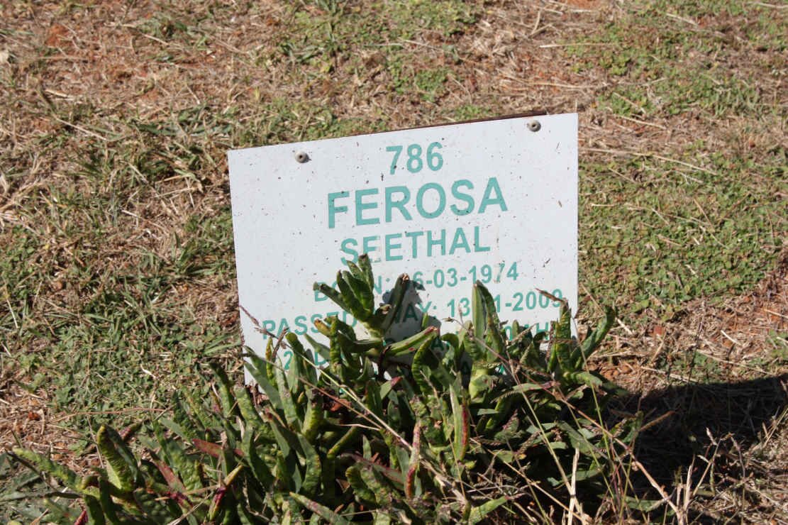SEETHAL Ferosa 1974-2009