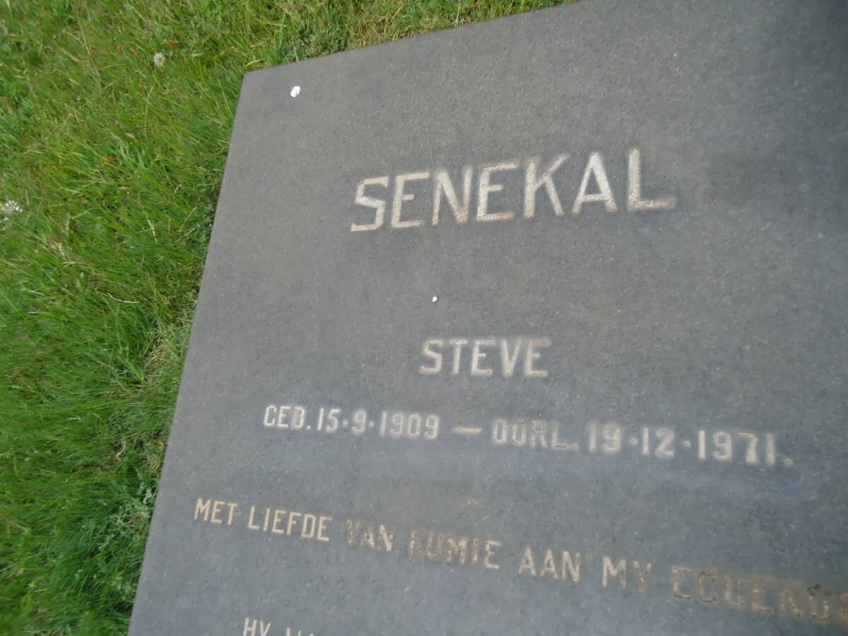 SENEKAL Steve 1909-1971