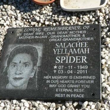 SPIDER Salachee Yellamah 1949-2011 :: SPIDER Mitchelle Francis 1971-1971 :: SPIDER Clyde Bonafis 1974-2007