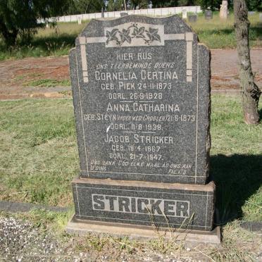 STRICKER Jacob 1867-1947 &amp; Cornelia Certina PIEK 1873-1928 :: STRICKER Anna Catharina nee STEYN voorheen GROBLER 1873-1938