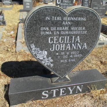 STEYN Cecilia Johanna 1903-1993
