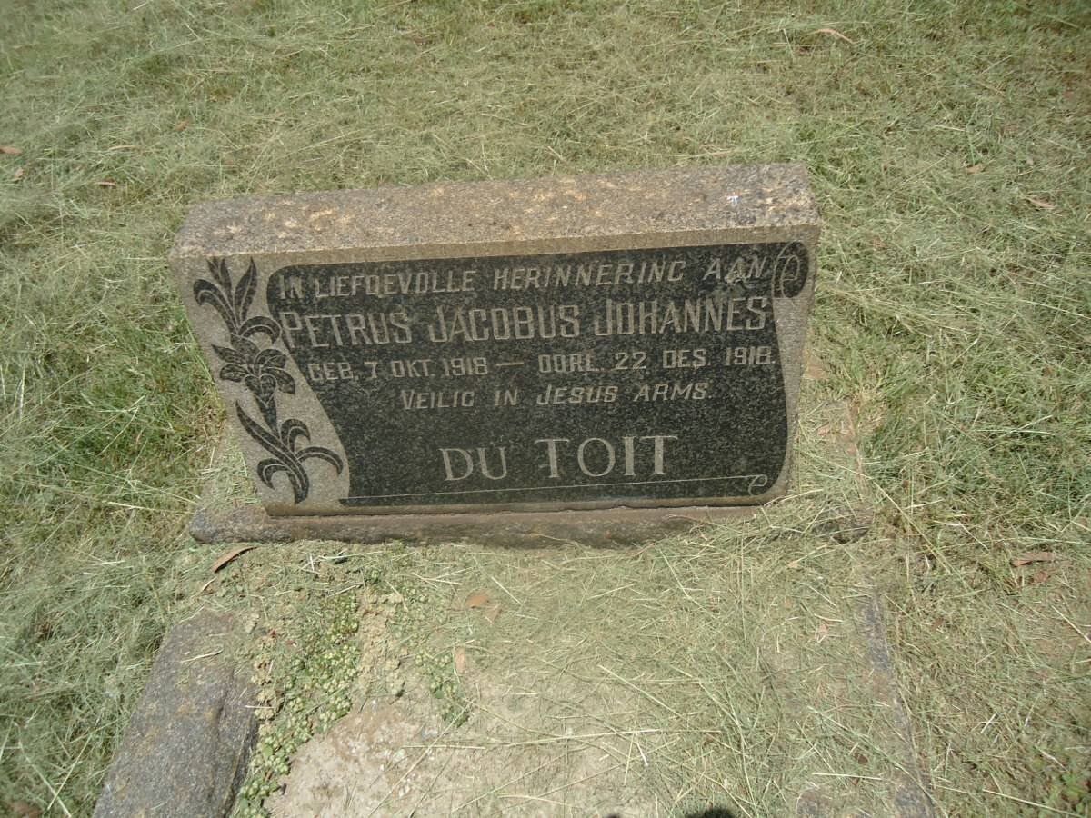 TOIT  Petrus Jacobus Johannes, du 1918-1918