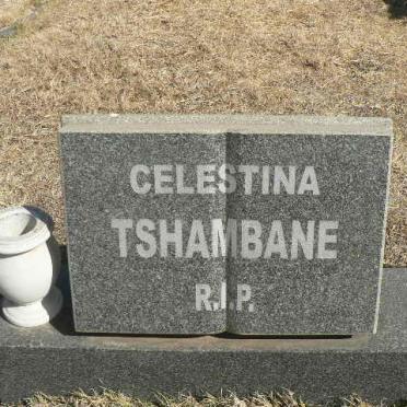 TSHAMBANE Celestina