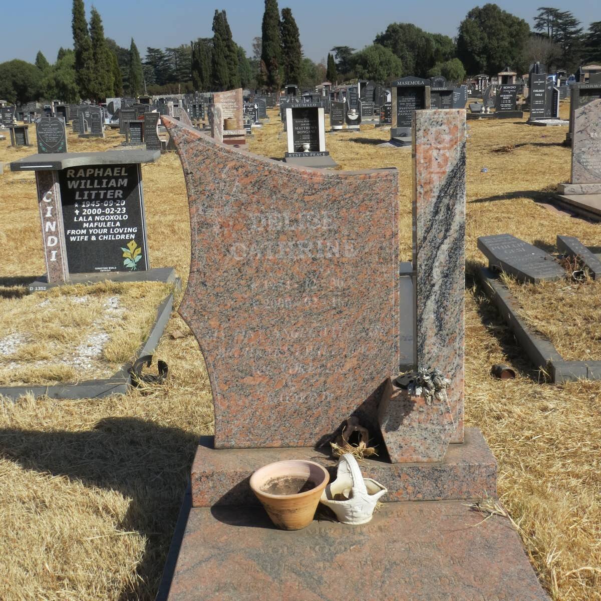 VERNE Delise Cathrine 1954-2000