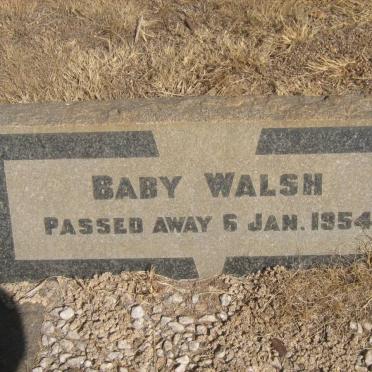 WALSH Baby -1954