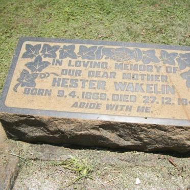 WAKELIN Hester 1869-1942