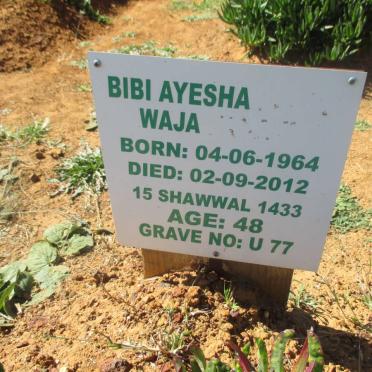WAJA Bibi Ayesha 1964-2012