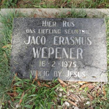 WEPENER Jaco Erasmus -1975