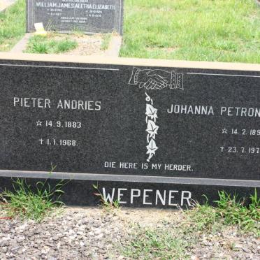 WEPENER Pieter Andries 1883-1968 &amp; Johanna Petronella BURGER 1895-1977