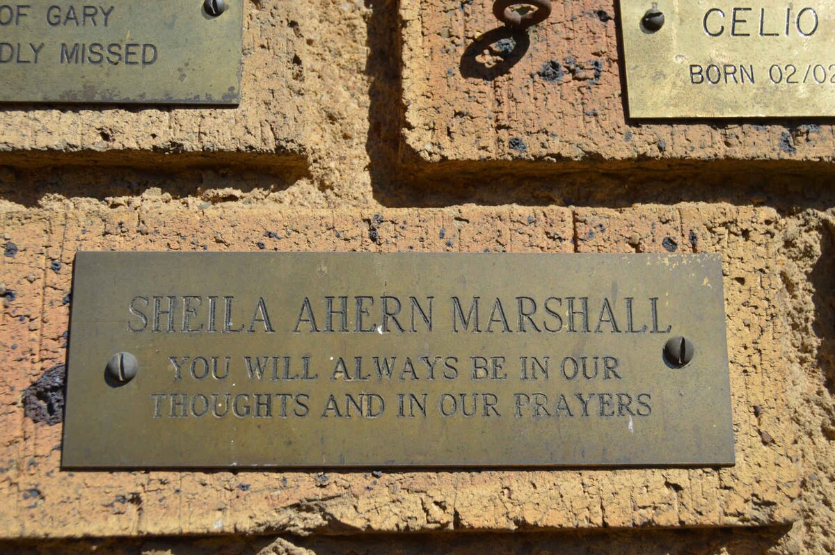 MARSHALL Sheila Ahern