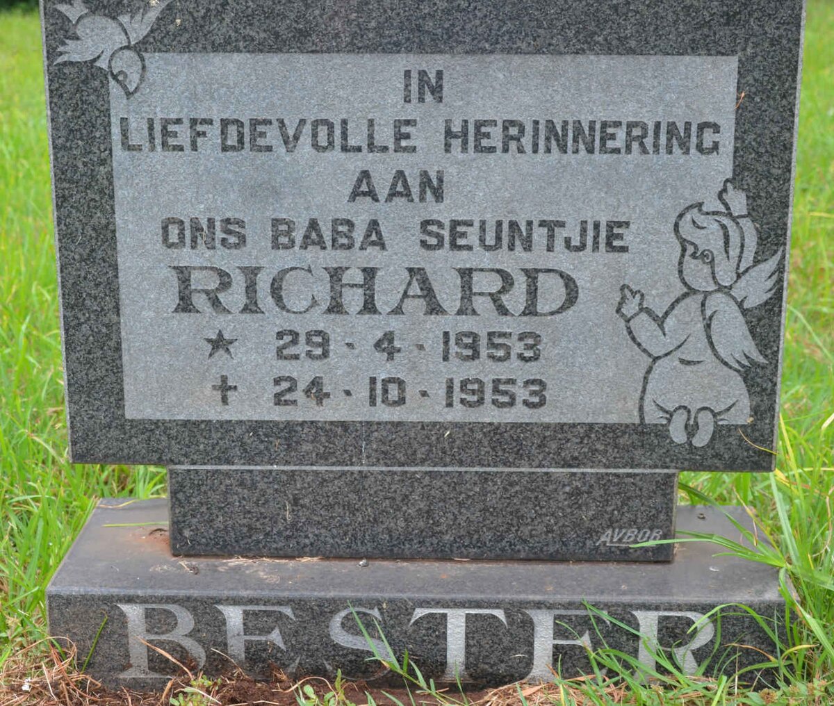 BESTER Richard 1953-1953