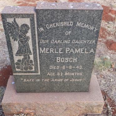 BOSCH Merle Pamela -1943