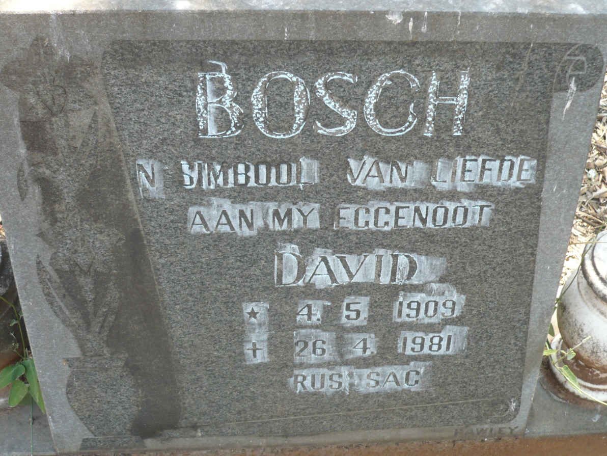 BOSCH David 1909-1981
