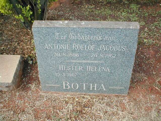 BOTHA Antonie Roelof Jacobus 1896-1962 &amp; Hester Helena 1907-