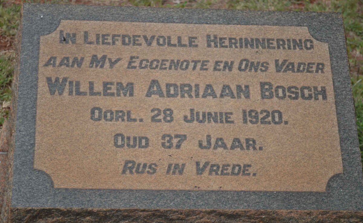 BOSCH Willem Adriaan -1920