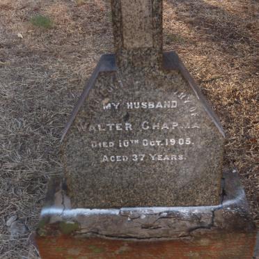 CHAPMAN Walter -1905