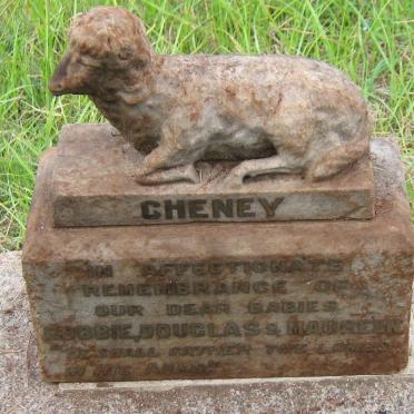 CHENEY Robbie :: CHENEY Douglas :: CHENEY Maureen