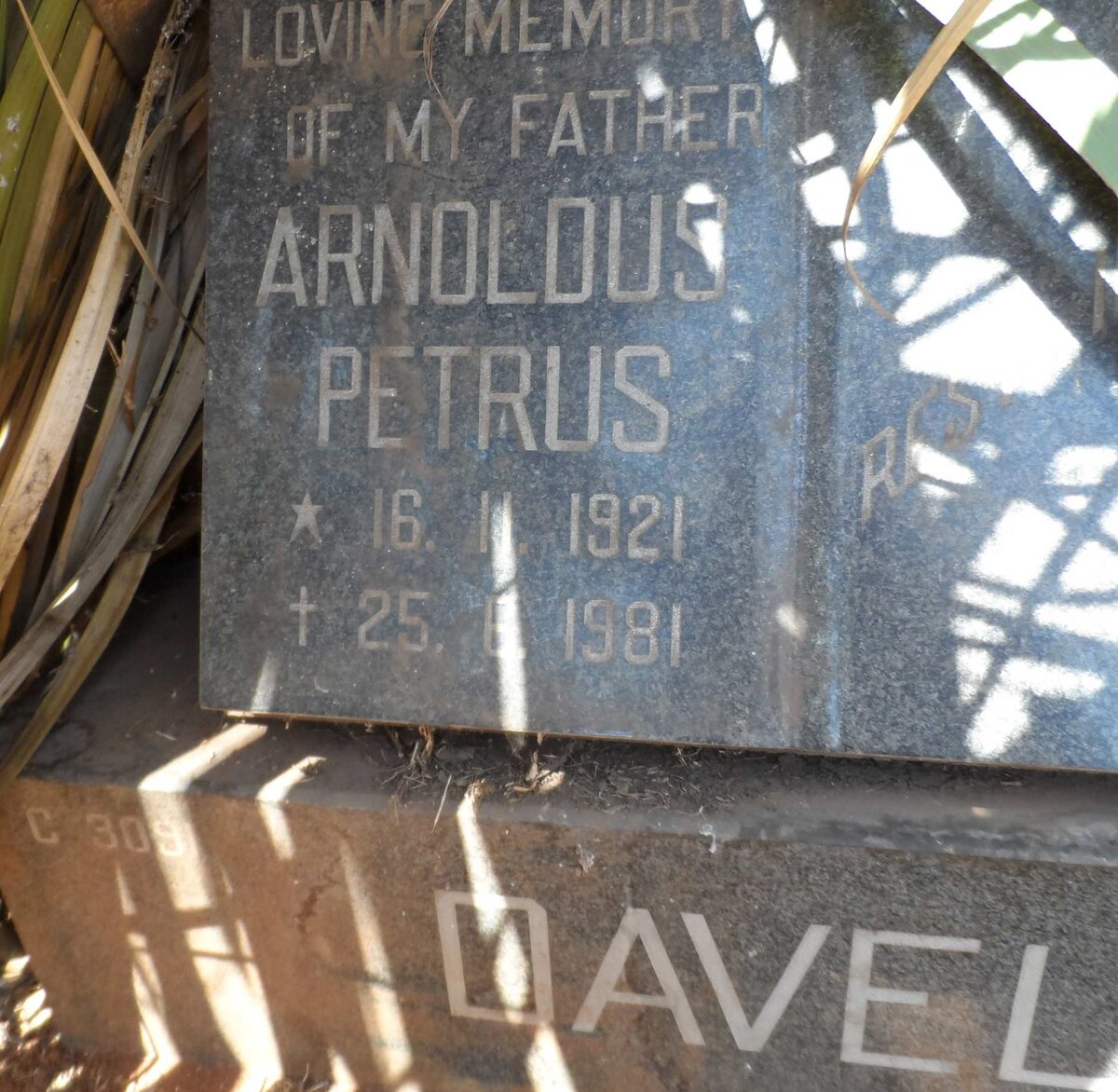 DAVEL Arnoldus Petrus 1921-1981