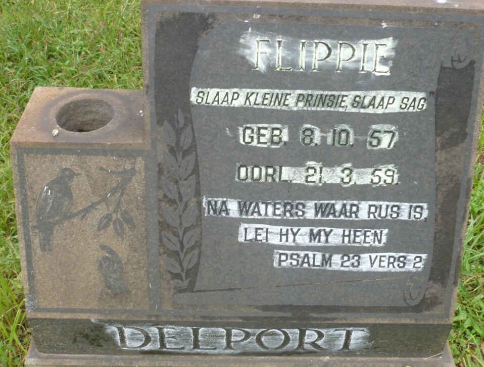 DELPORT Flippie 1957-1959