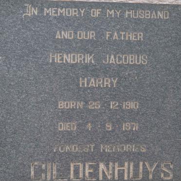 GILDENHUYS Hendrik Jacobus Harry 1910-1971
