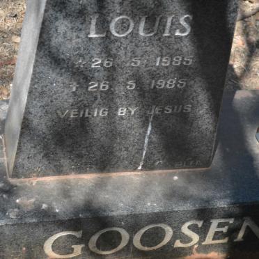 GOOSEN Louis 1985-1985