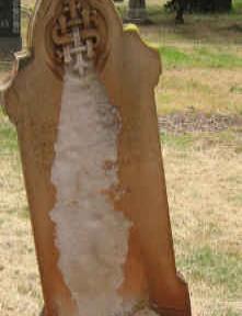 GREGORY George Ripley -1906