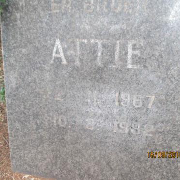 KOSTER Attie 1967-1982